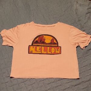 Sunset Graphic Peach Crop Top